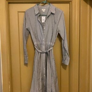 J Crew Button Down Dress